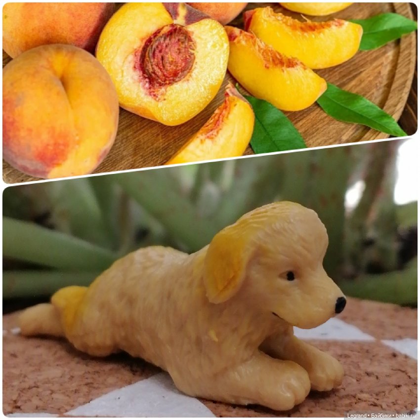 Лурения: "вкусные" имена наших питомцев🍰🍇 (фото 9)