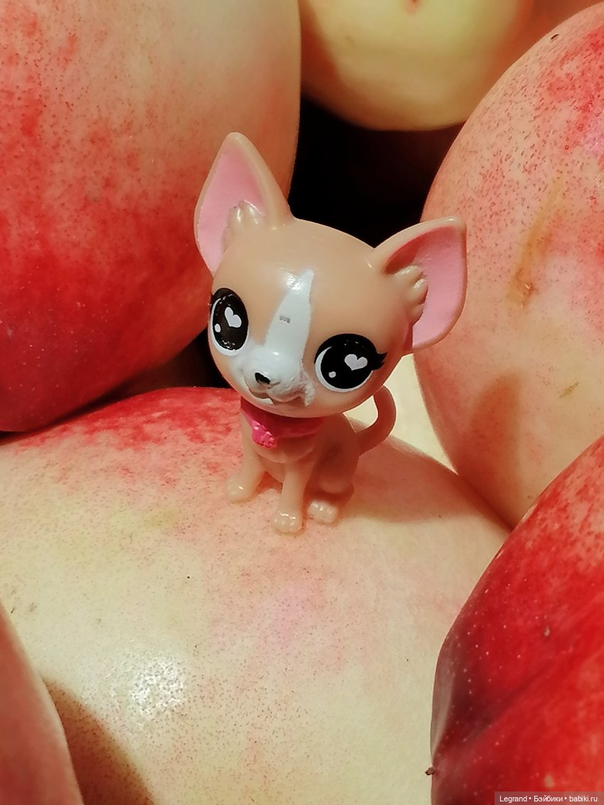 Лурения: "вкусные" имена наших питомцев🍰🍇