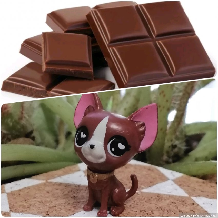 Лурения: "вкусные" имена наших питомцев🍰🍇