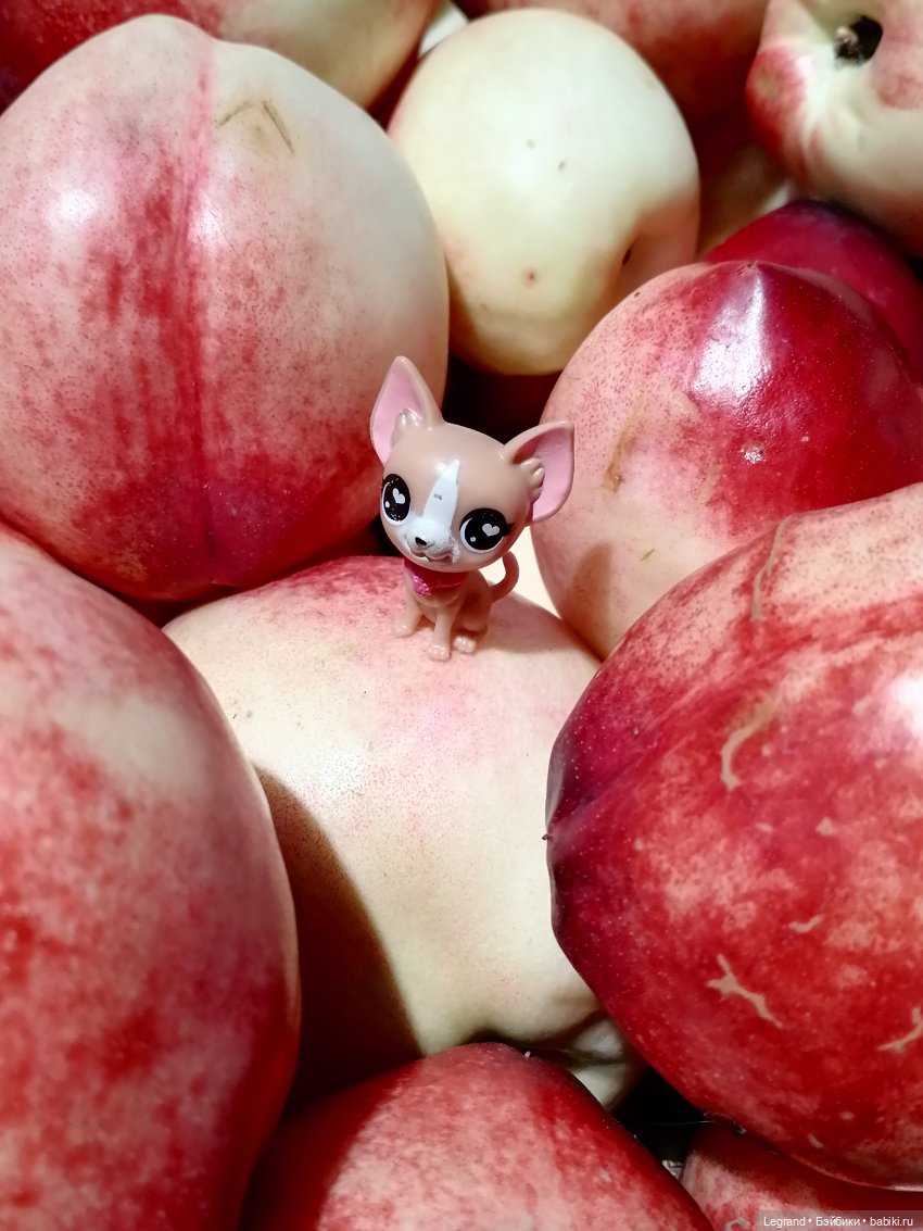 Лурения: "вкусные" имена наших питомцев🍰🍇