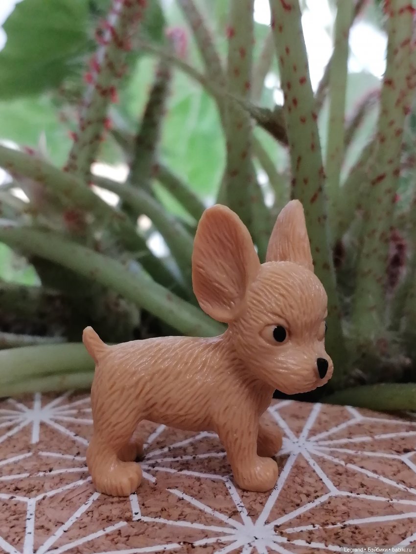 Лурения: прогулки в саду и около🤗🌴