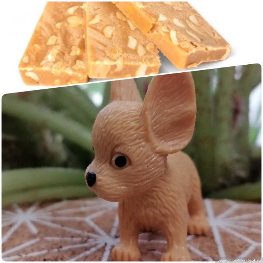 Лурения: "вкусные" имена наших питомцев🍰🍇 (фото 6)