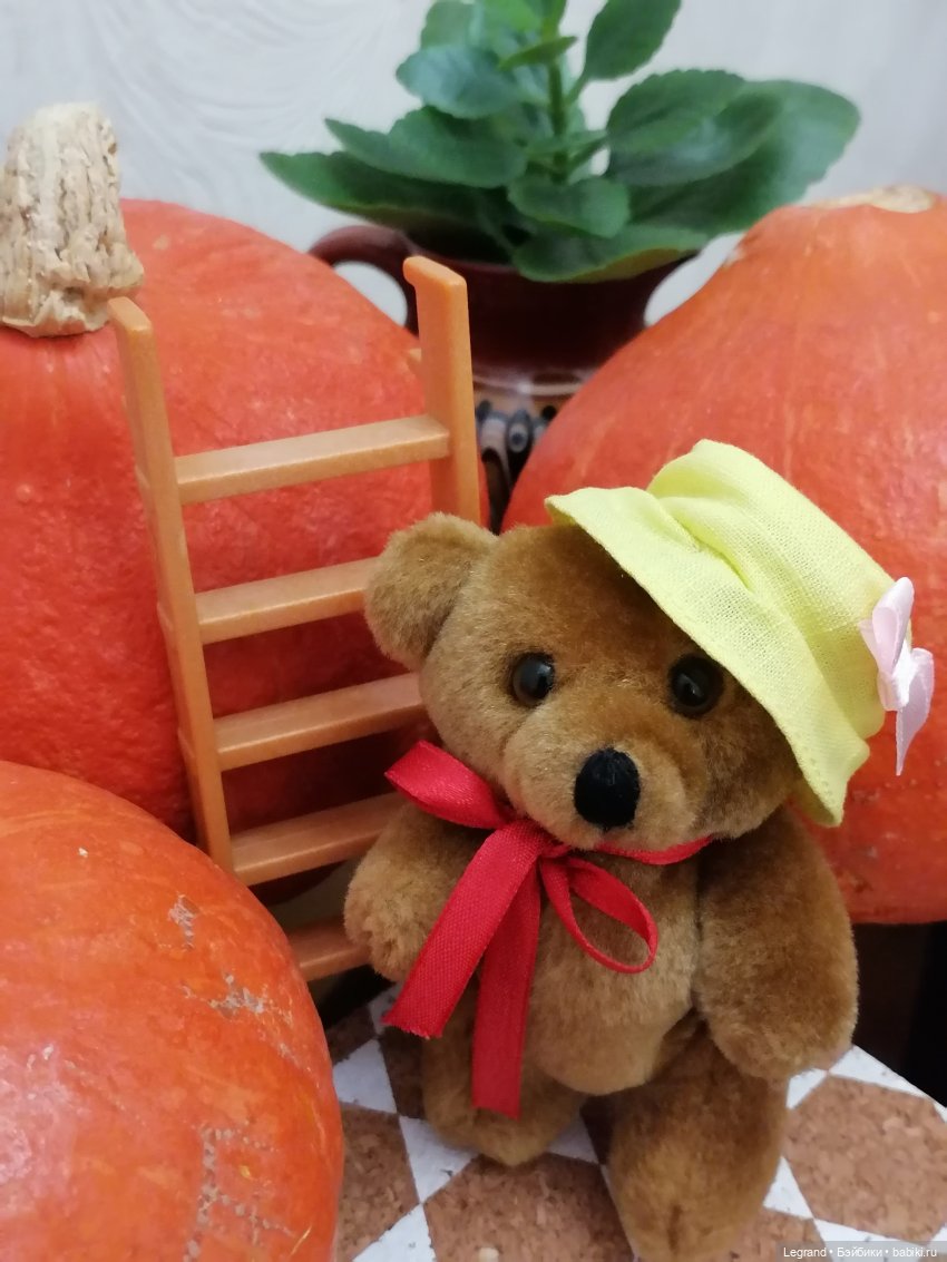 Лурения: мелочь и тыквы🤗🌻