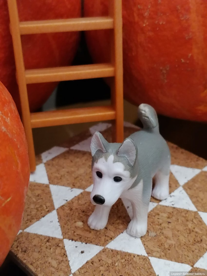 Лурения: мелочь и тыквы🤗🌻