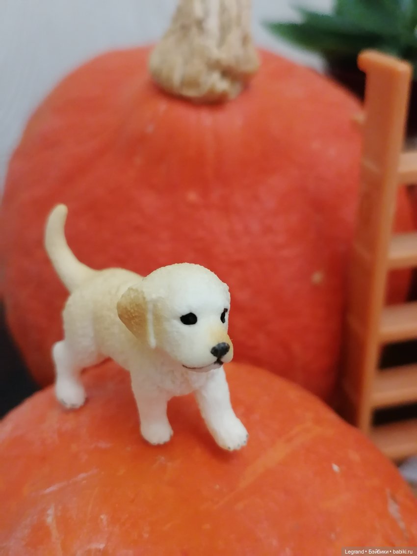 Лурения: мелочь и тыквы🤗🌻