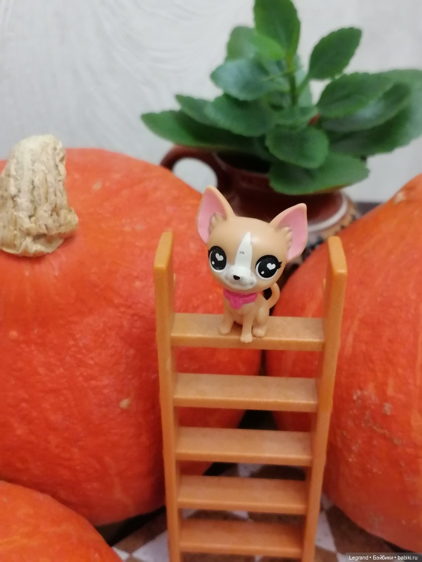 Лурения: мелочь и тыквы🤗🌻 (фото 5)