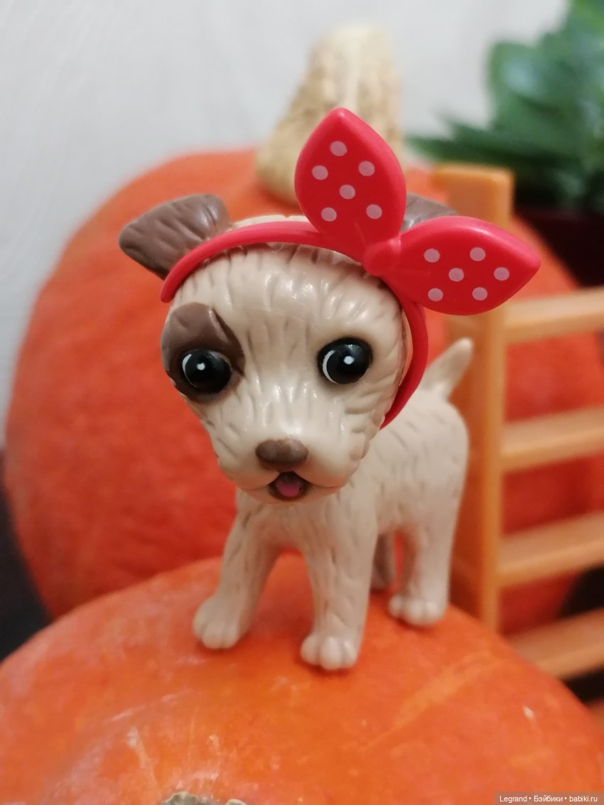 Лурения: мелочь и тыквы🤗🌻