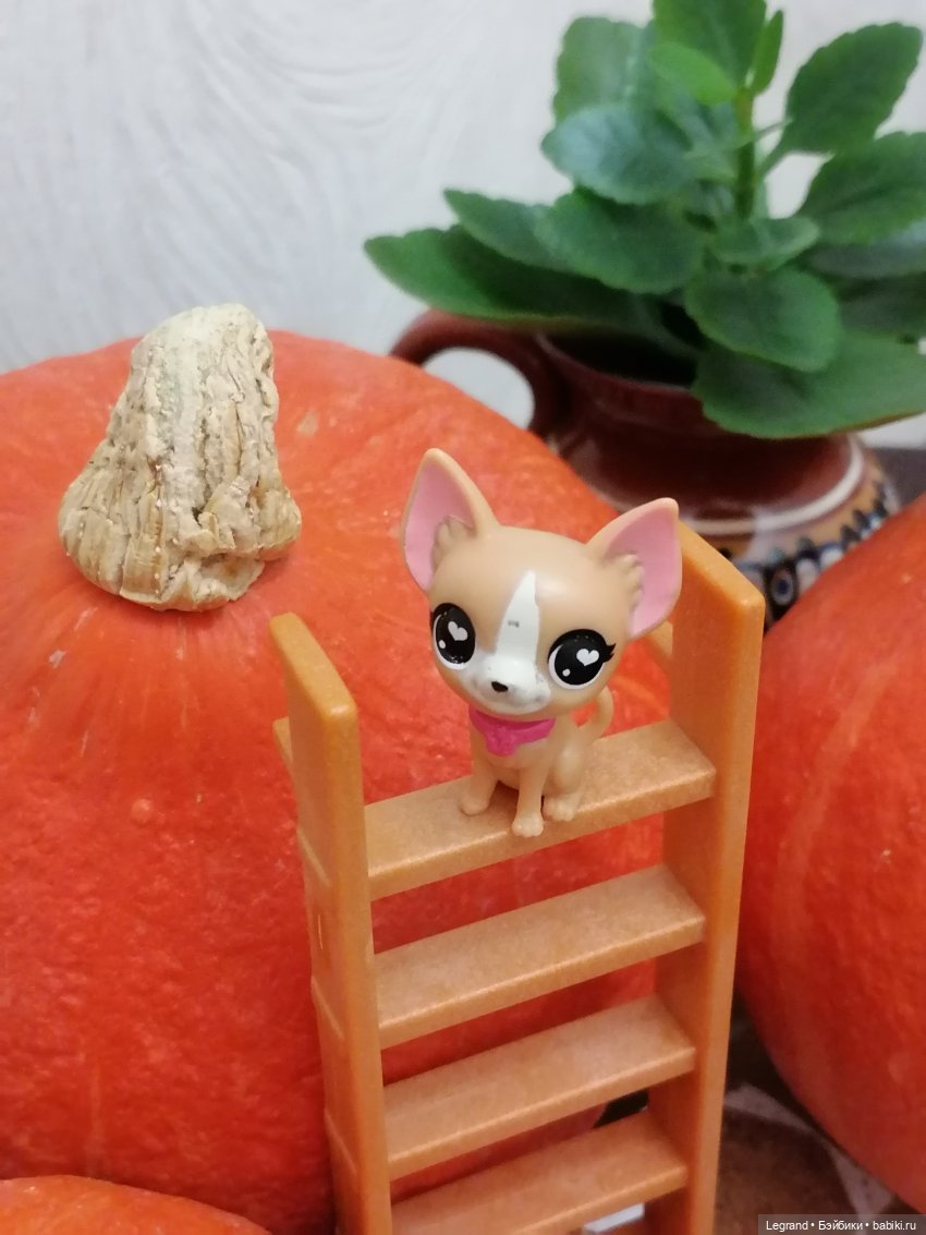 Лурения: мелочь и тыквы🤗🌻 (фото 10)