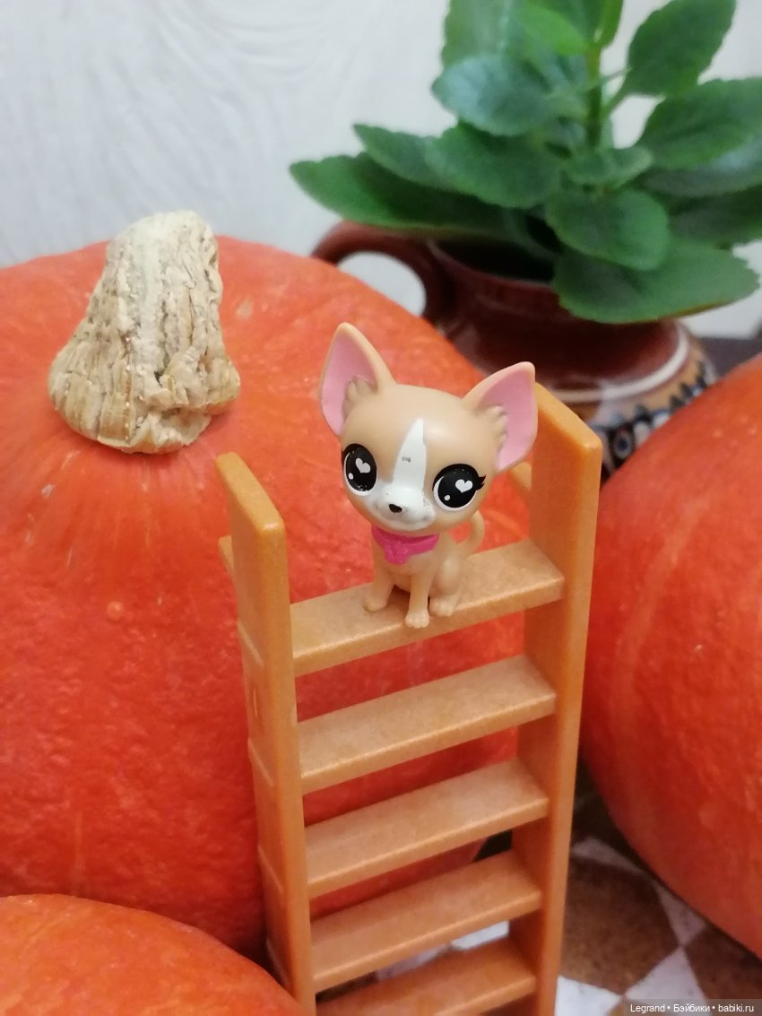 Лурения: мелочь и тыквы🤗🌻 (фото 9)