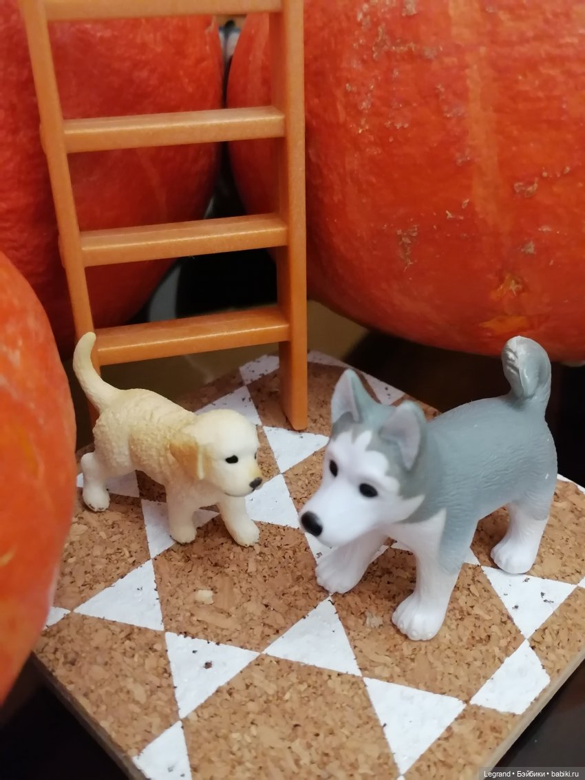 Лурения: мелочь и тыквы🤗🌻