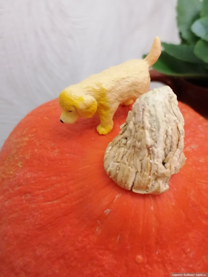 Лурения: мелочь и тыквы🤗🌻