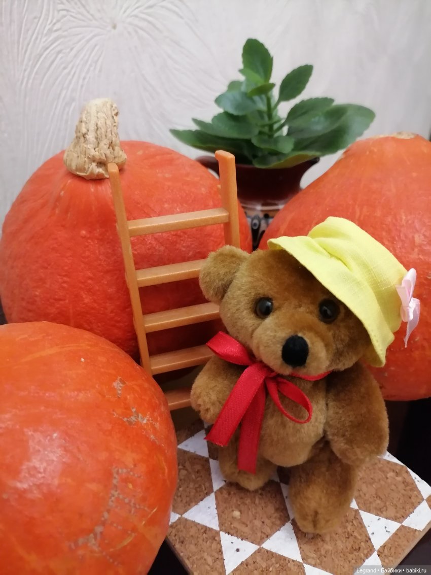 Лурения: мелочь и тыквы🤗🌻