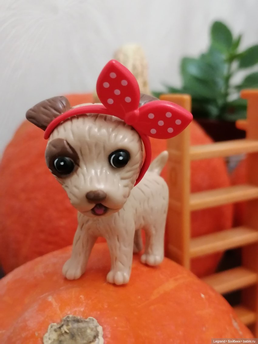 Лурения: мелочь и тыквы🤗🌻