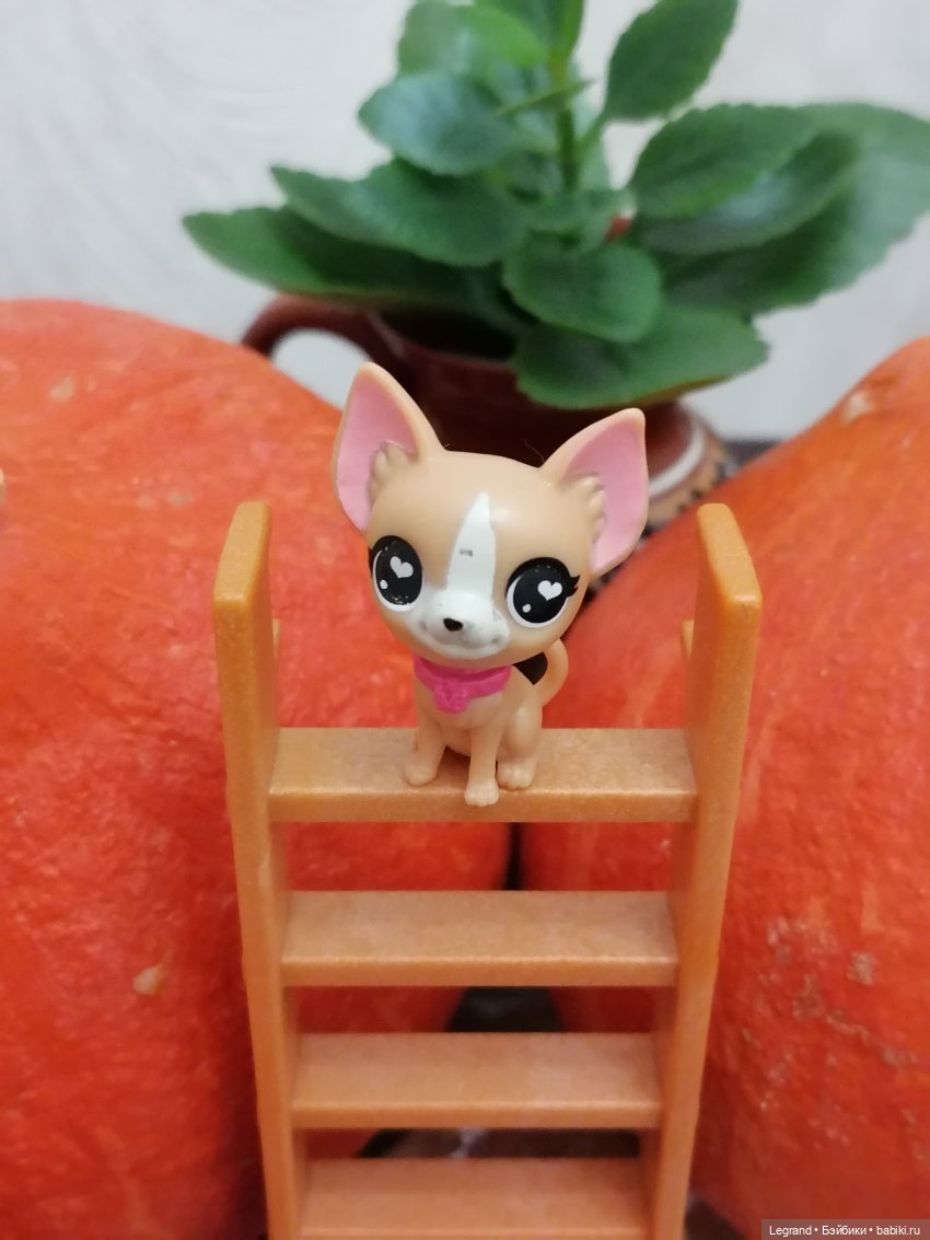 Лурения: мелочь и тыквы🤗🌻 (фото 2)