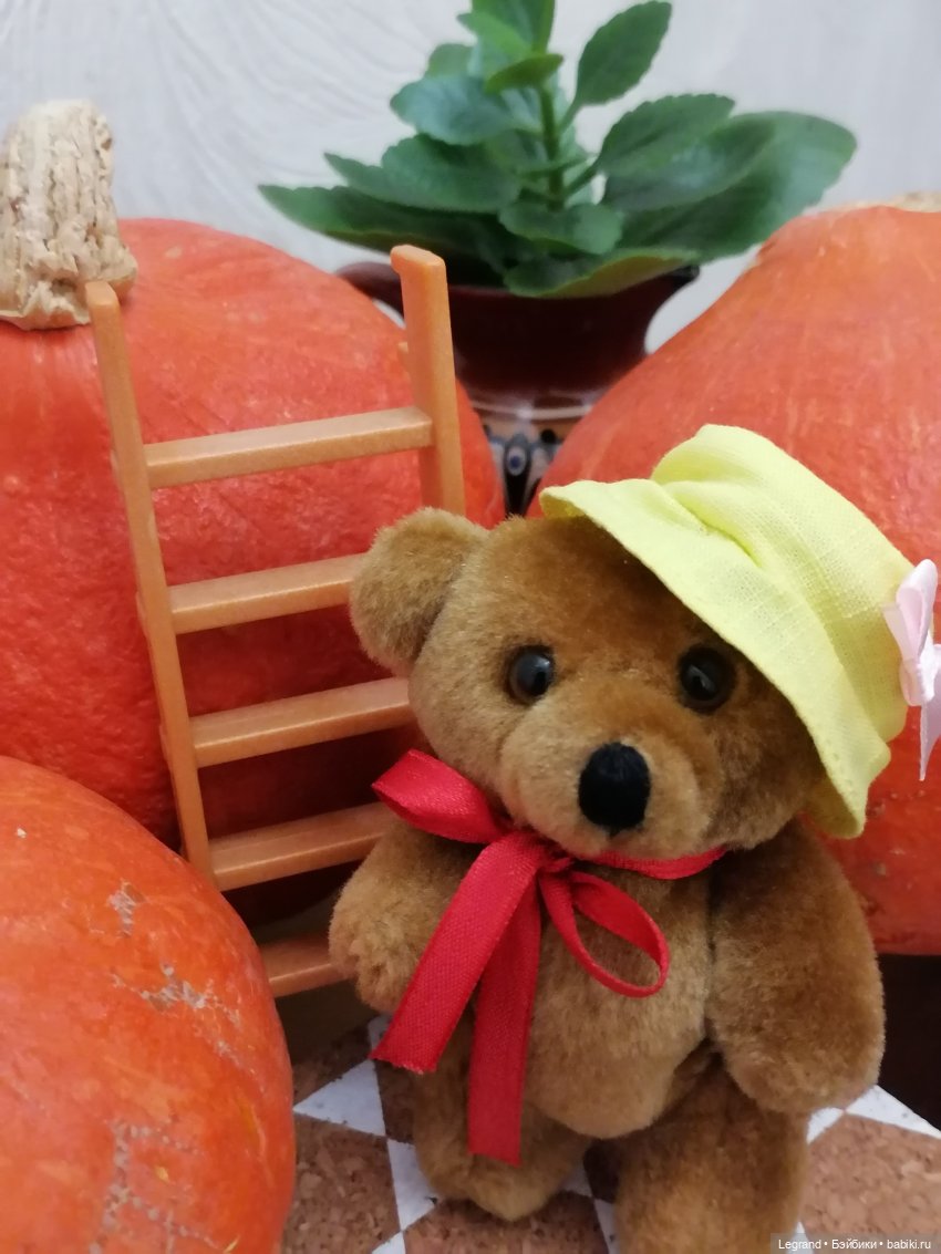 Лурения: мелочь и тыквы🤗🌻