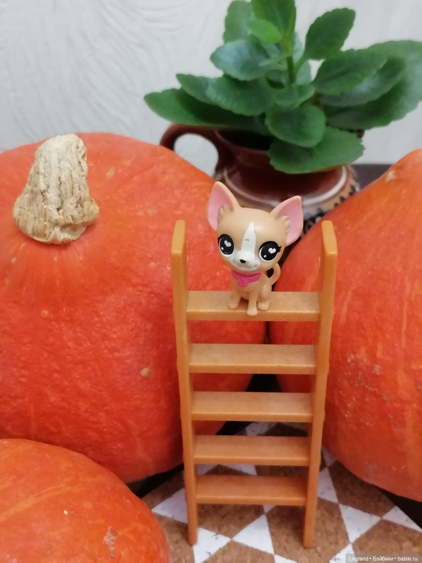 Лурения: мелочь и тыквы🤗🌻