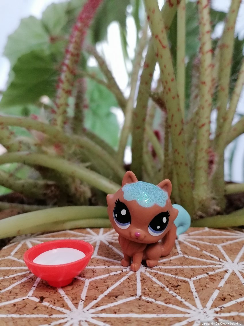 Лурения: мелочь и тыквы🤗🌻