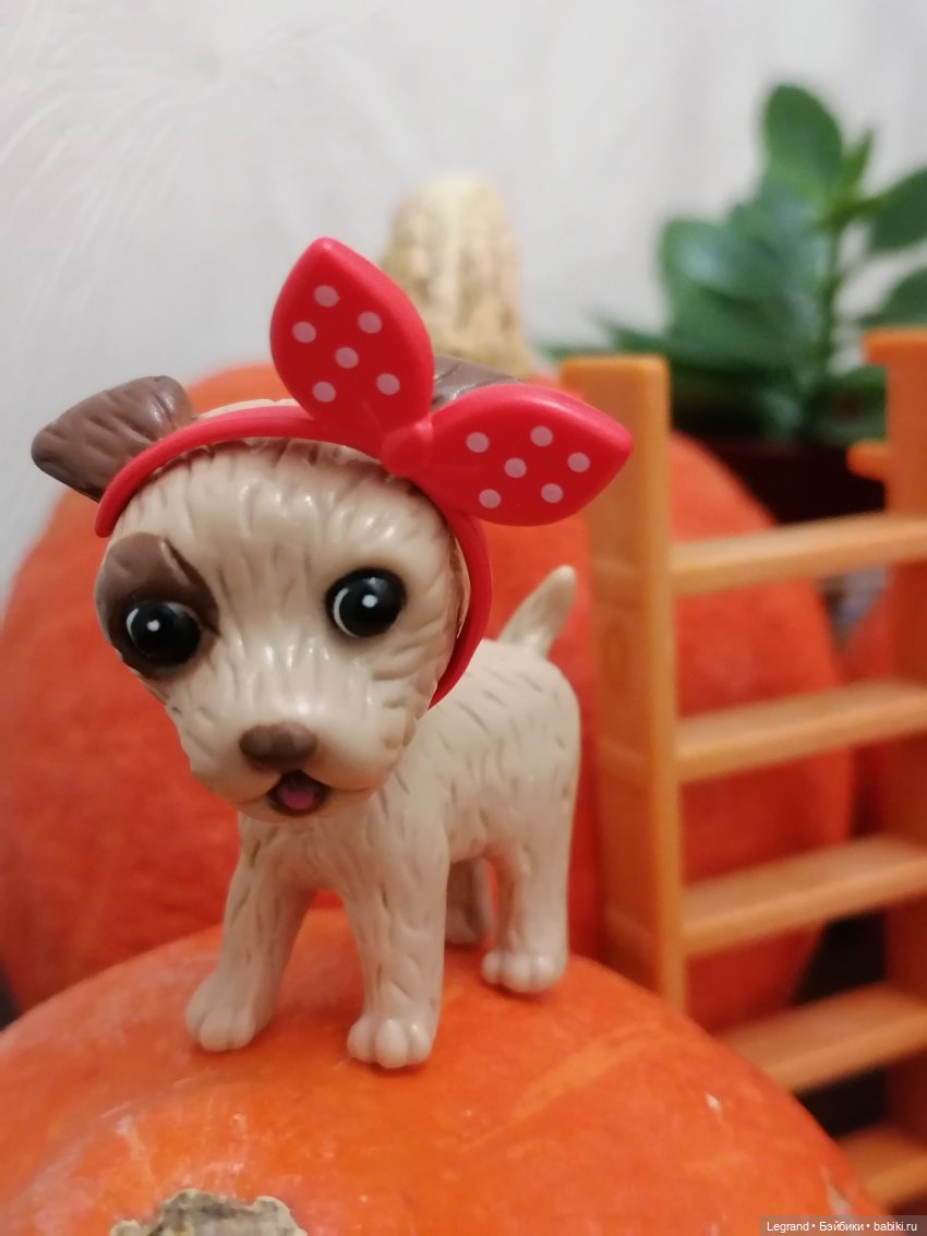 Лурения: мелочь и тыквы🤗🌻