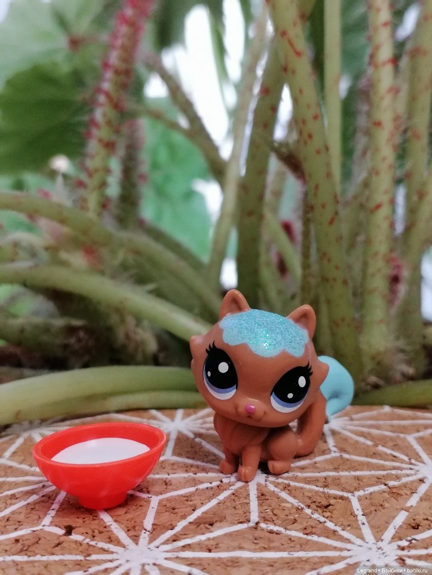 Лурения: мелочь и тыквы🤗🌻