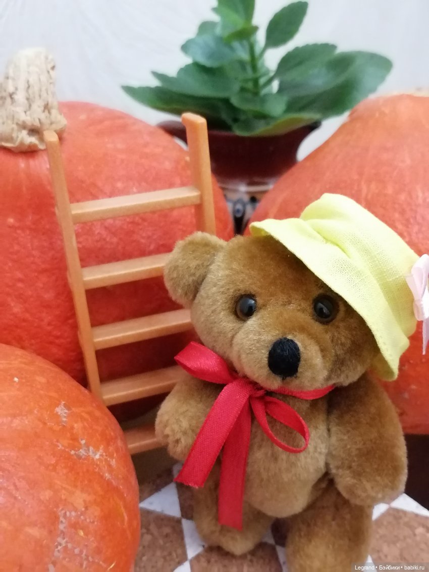 Лурения: мелочь и тыквы🤗🌻