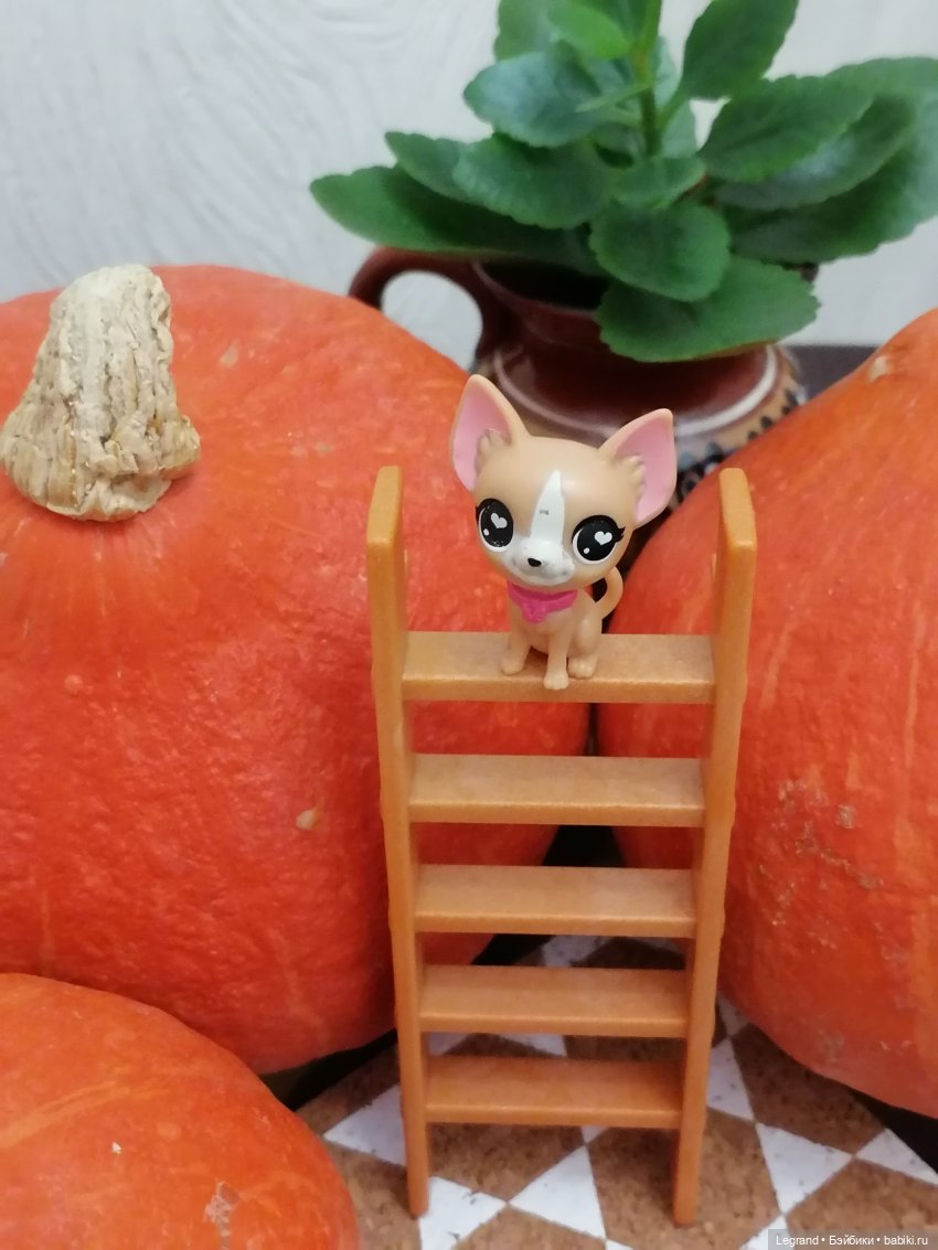 Лурения: мелочь и тыквы🤗🌻 (фото 7)