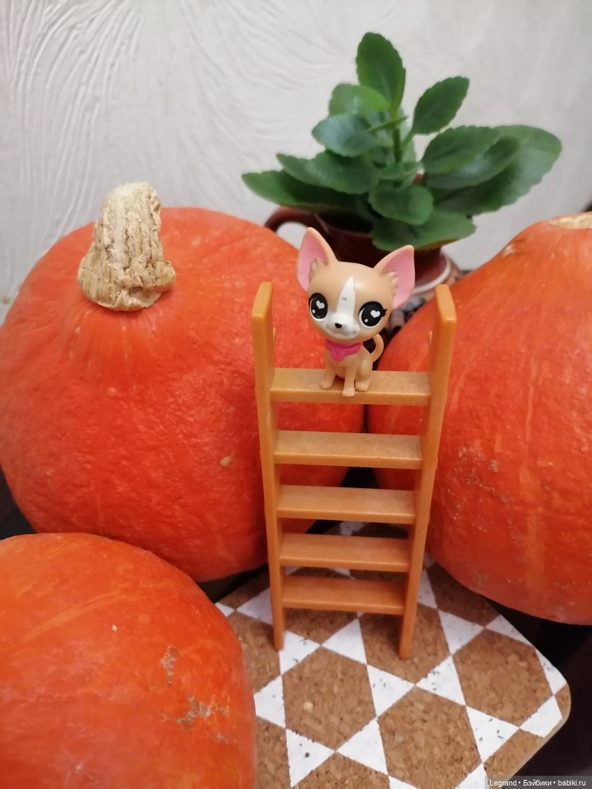 Лурения: мелочь и тыквы🤗🌻 (фото 4)