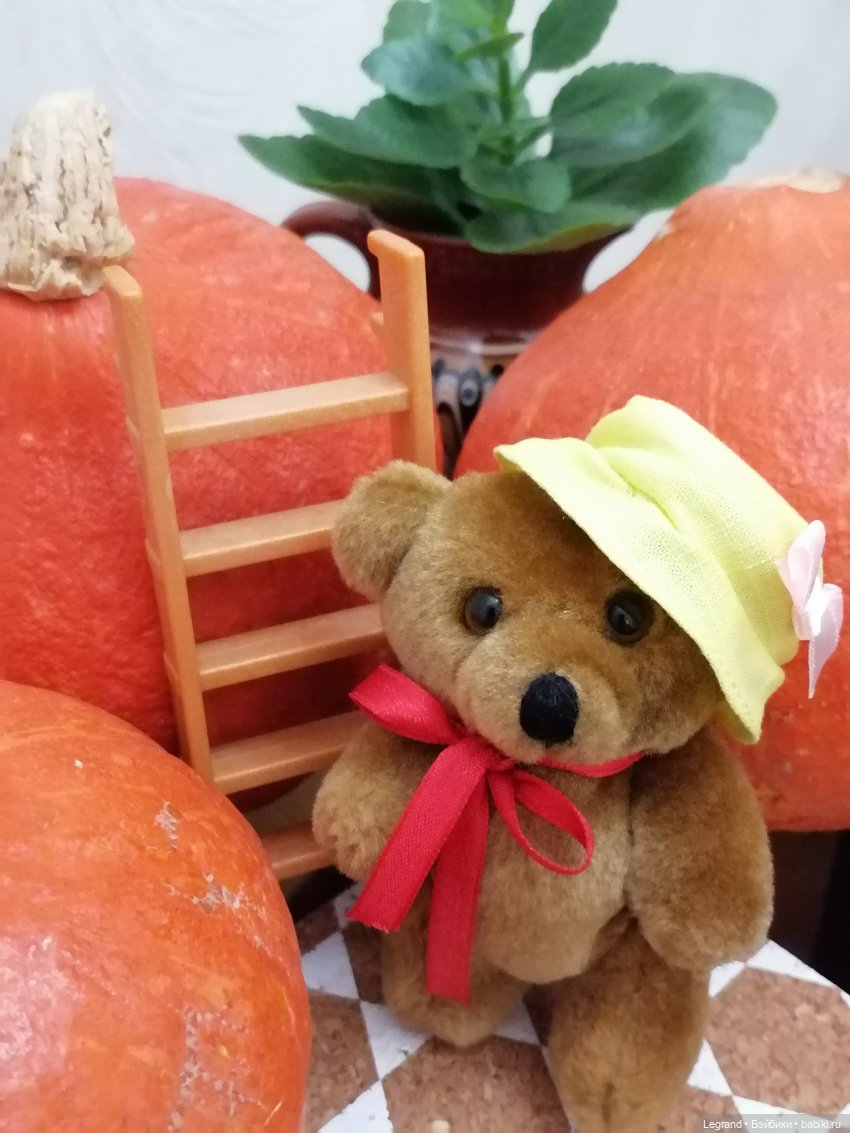 Лурения: мелочь и тыквы🤗🌻