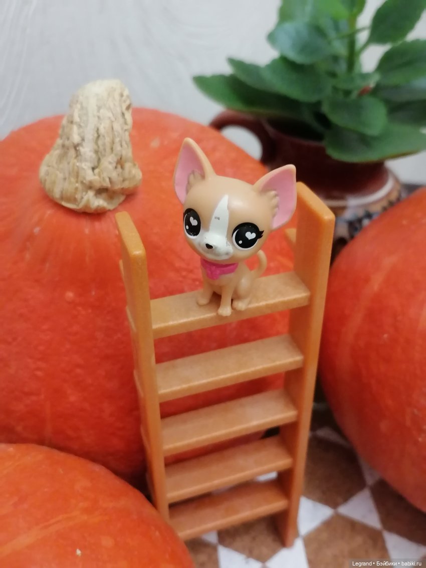 Лурения: мелочь и тыквы🤗🌻 (фото 8)