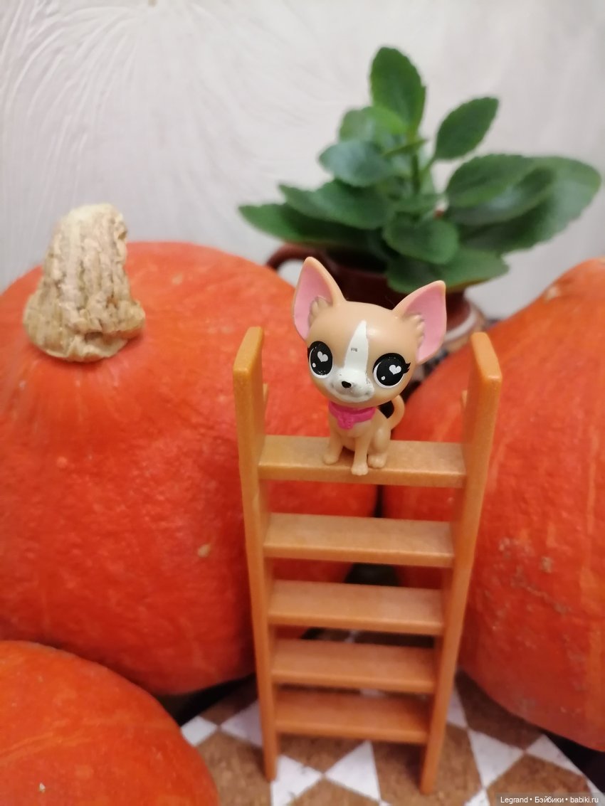 Лурения: мелочь и тыквы🤗🌻