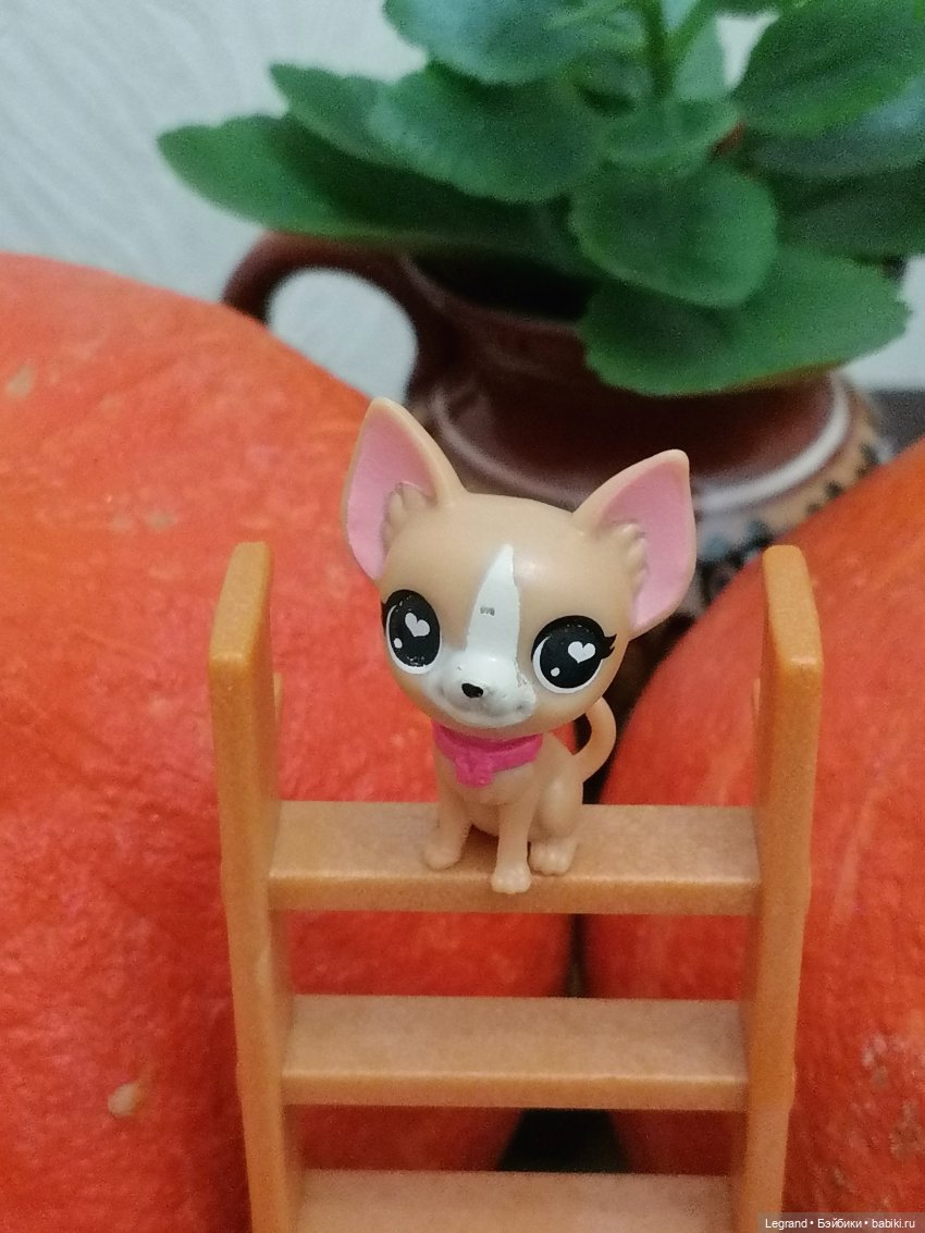 Лурения: мелочь и тыквы🤗🌻 (фото 6)