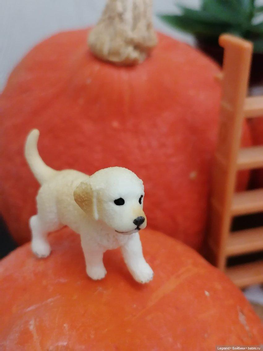 Лурения: мелочь и тыквы🤗🌻