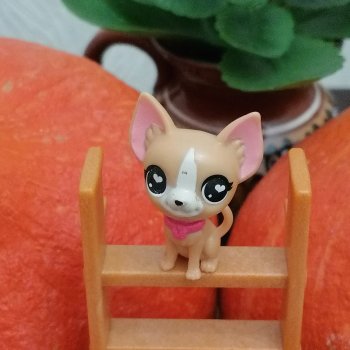 Лурения: мелочь и тыквы🤗🌻