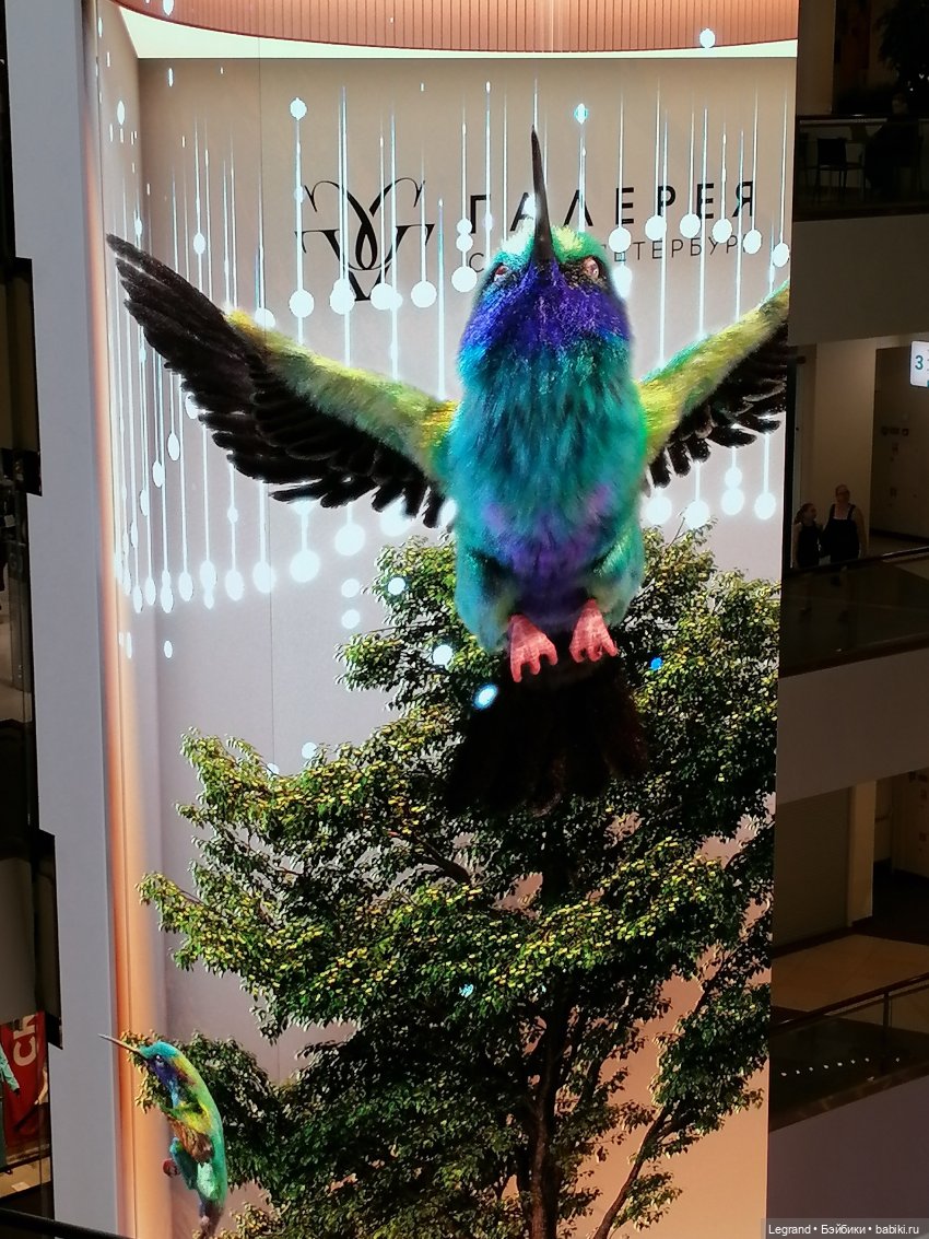 Санкт-Петербург: середина августа