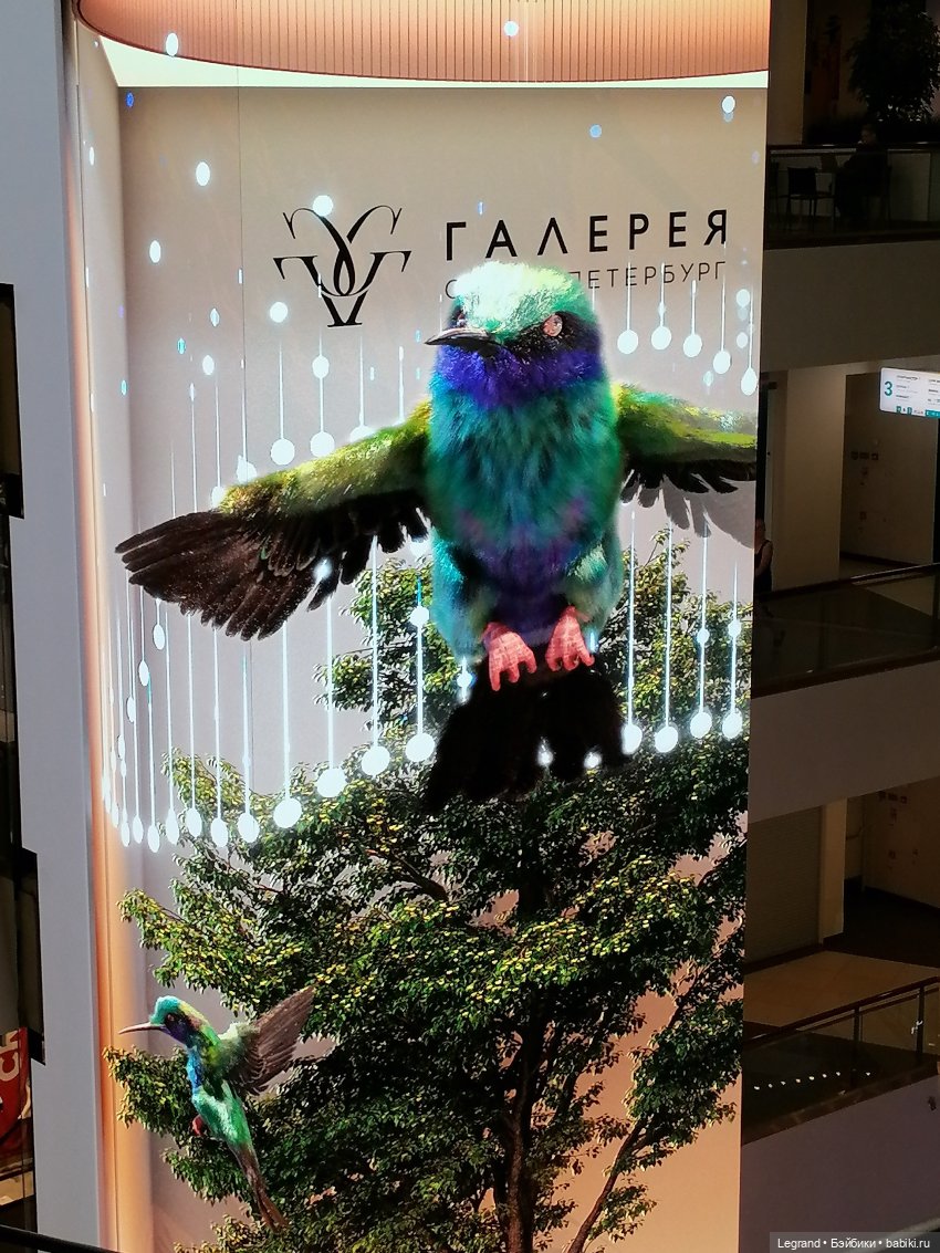 Санкт-Петербург: середина августа