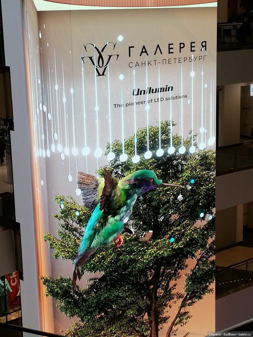 Санкт-Петербург: середина августа