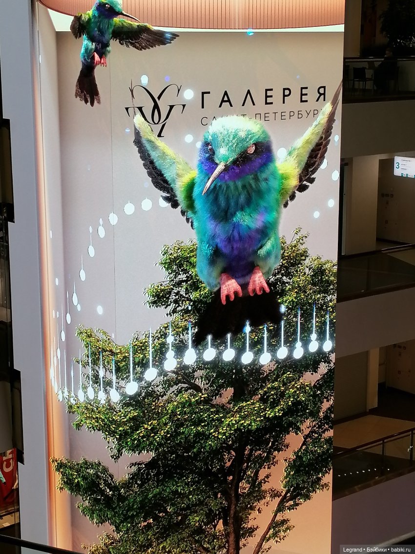 Санкт-Петербург: середина августа