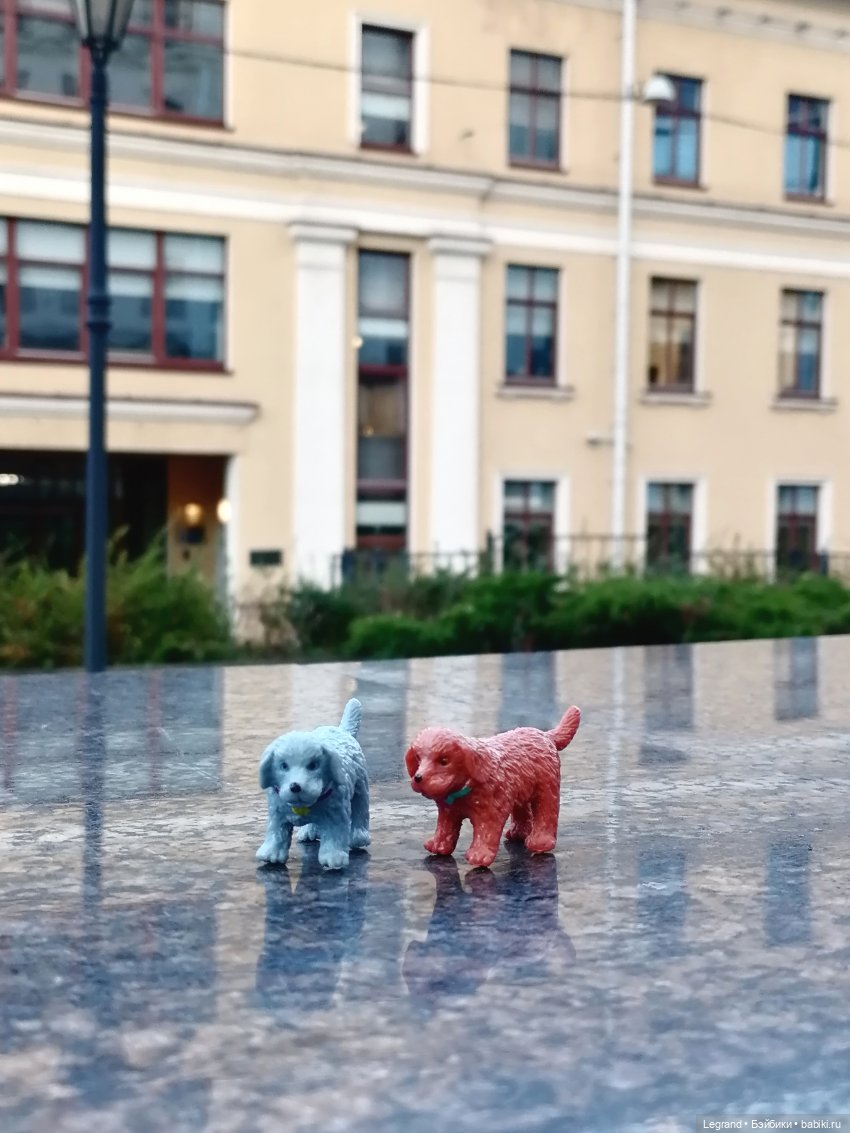 Лурения - Петербург: небольшая прогулка с собачками от Kari