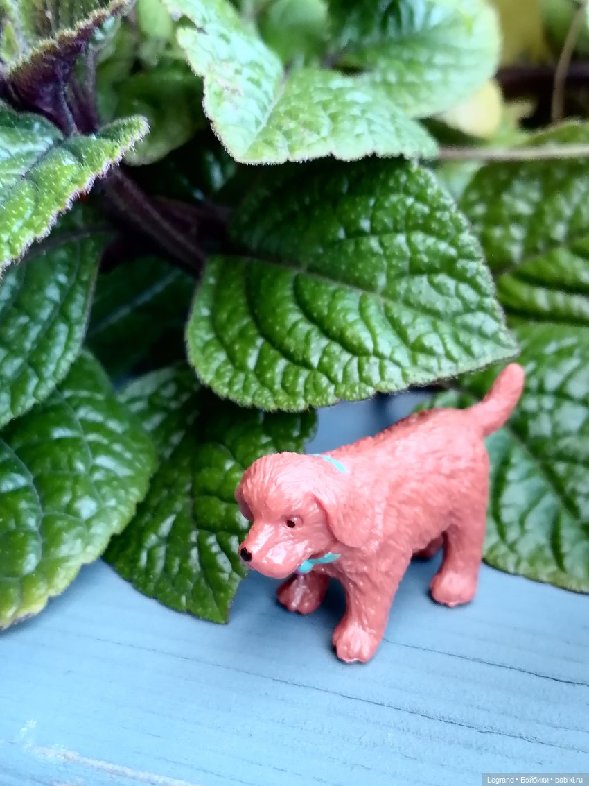 Лурения - Петербург: небольшая прогулка с собачками от Kari