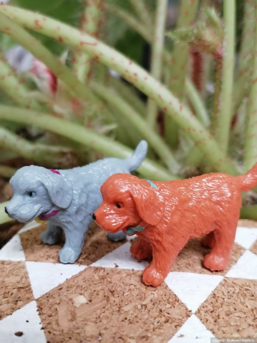 Лурения - Петербург: небольшая прогулка с собачками от Kari (фото 2)