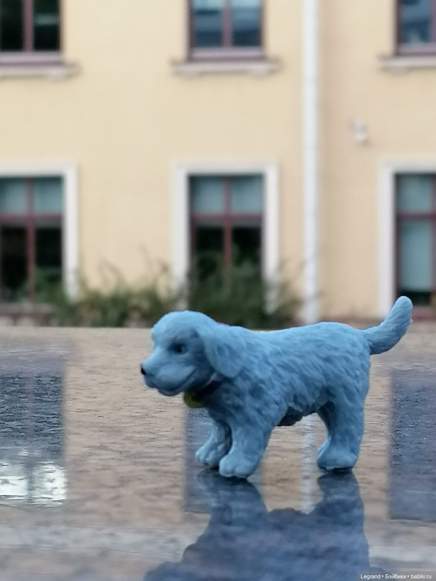 Лурения - Петербург: небольшая прогулка с собачками от Kari