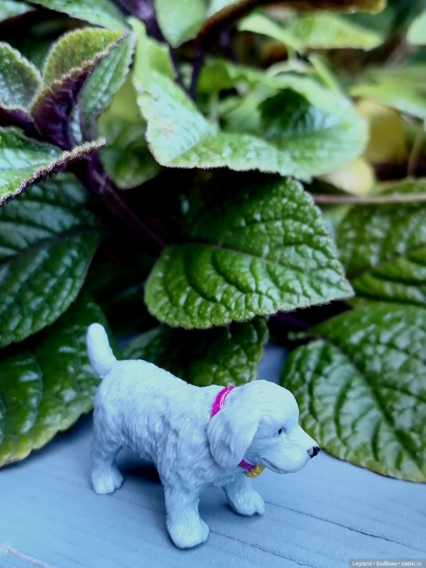 Лурения - Петербург: небольшая прогулка с собачками от Kari