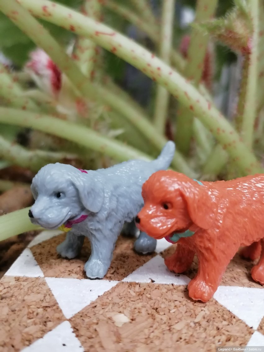 Лурения - Петербург: небольшая прогулка с собачками от Kari (фото 4)