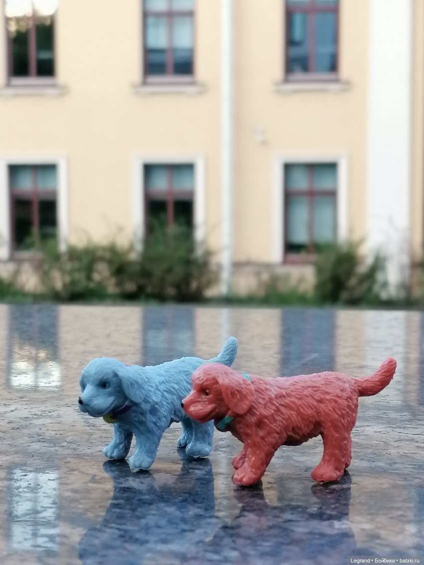 Лурения - Петербург: небольшая прогулка с собачками от Kari