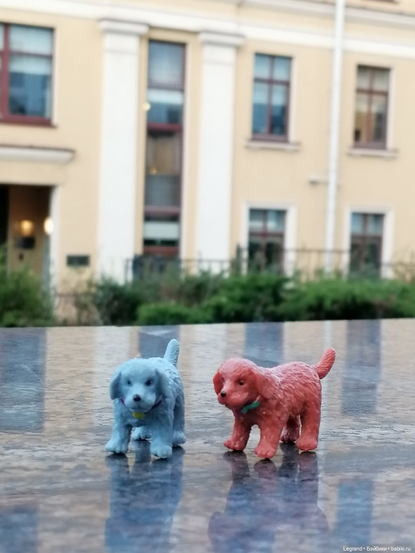 Лурения - Петербург: небольшая прогулка с собачками от Kari