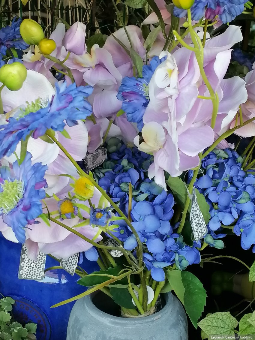 Лурения - Петербург: небольшая прогулка с собачками от Kari