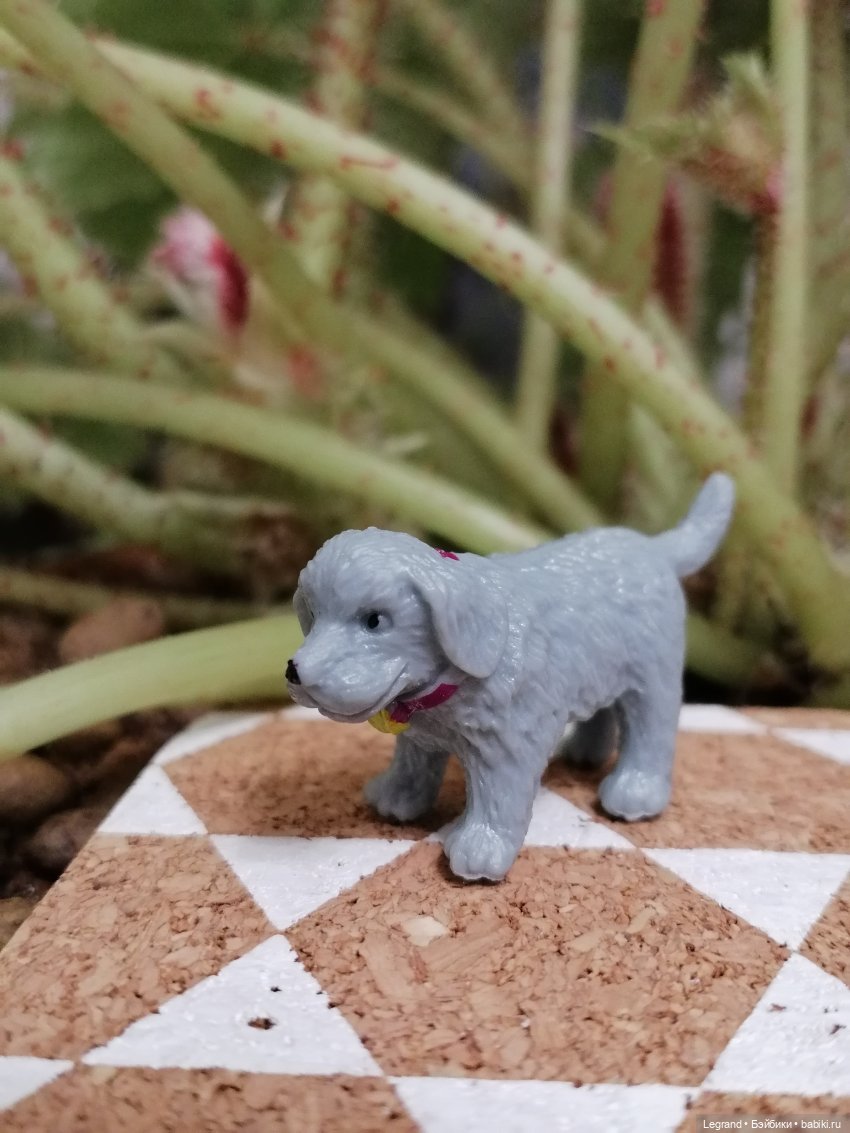 Лурения - Петербург: небольшая прогулка с собачками от Kari