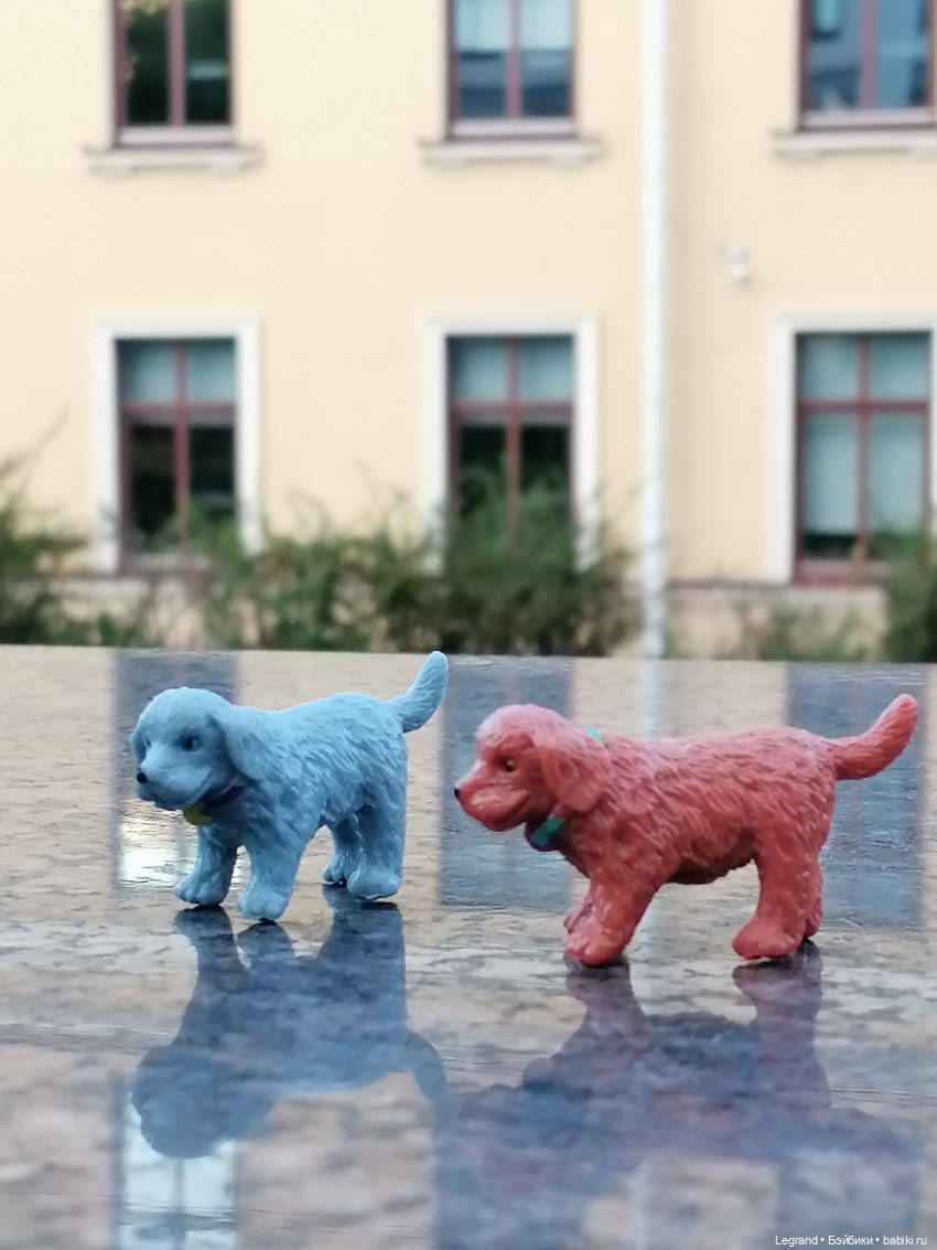 Лурения - Петербург: небольшая прогулка с собачками от Kari