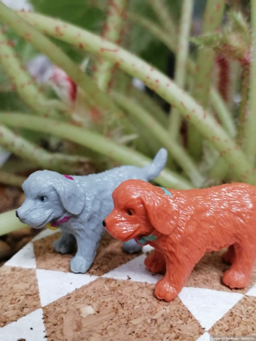 Лурения - Петербург: небольшая прогулка с собачками от Kari (фото 3)