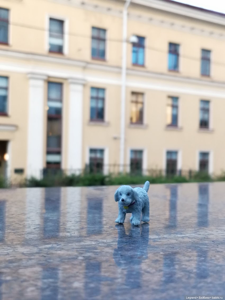 Лурения - Петербург: небольшая прогулка с собачками от Kari