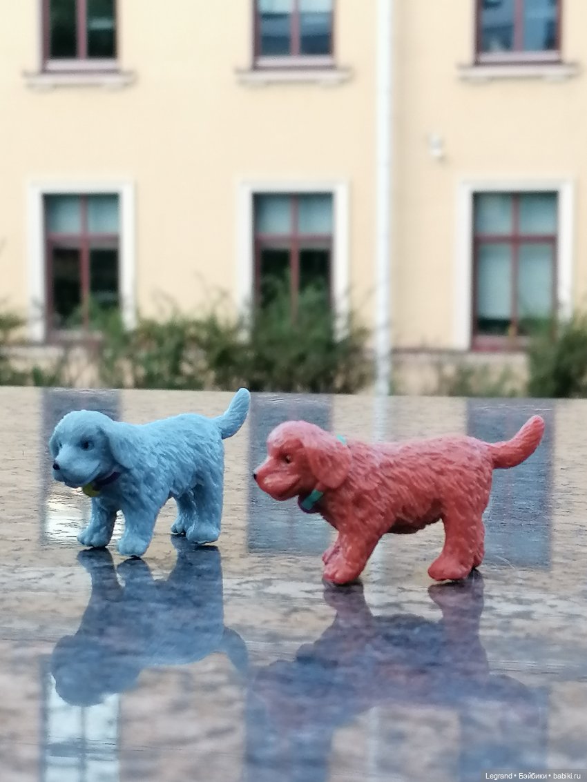 Лурения - Петербург: небольшая прогулка с собачками от Kari